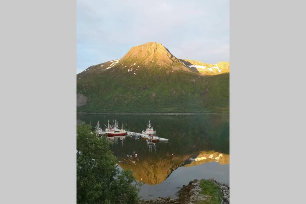 Waterfront Senja 3 Apartment Torsken Exterior foto