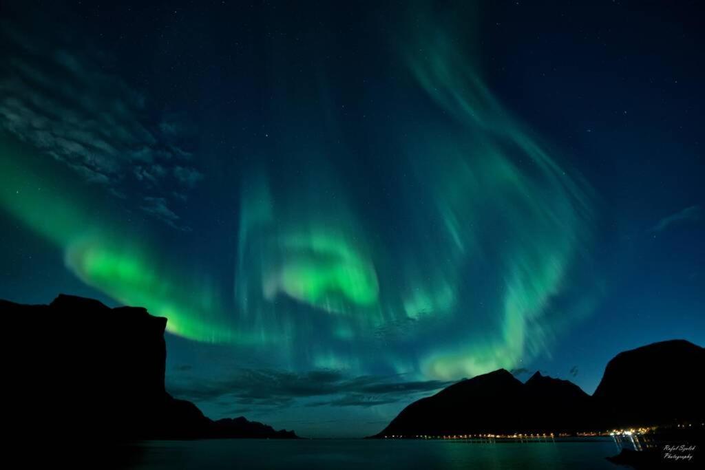 Waterfront Senja 3 Apartment Torsken Exterior foto